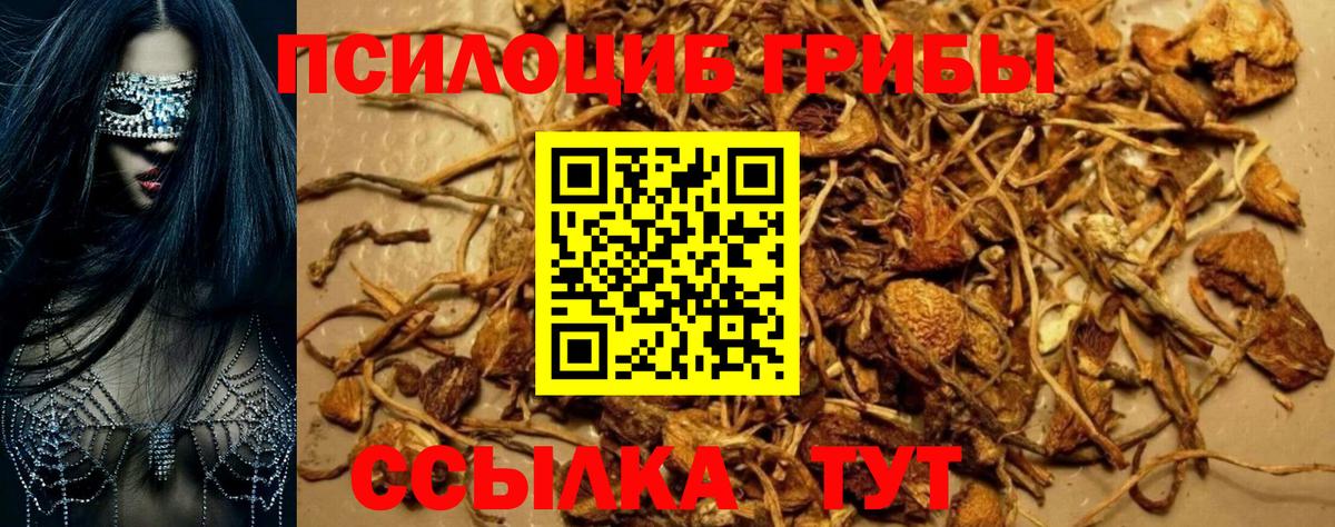 Зеленокумск  Галлюциногенные грибы мухоморы  где купить наркоту  Вход с VPN 