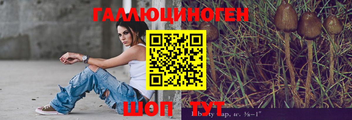 Псилоцибиновые грибы мицелий Зеленокумск